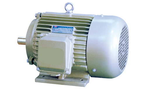 YD2系列變極多速三相異步電動(dòng)機(jī)